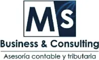 MS Business & Consulting